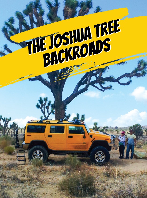 Palm Springs tours to Joshua Tree in a Hummer.