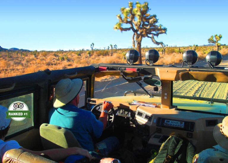 Palm SPrings tours by Jeep and Hummer tours to Joshua Tree National Park.
