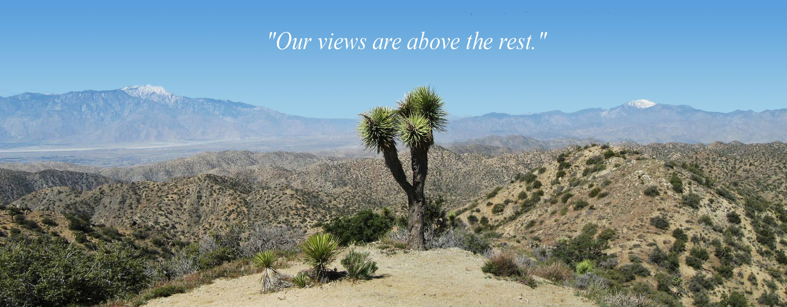 Our Palm Springs tours will take you to amazing vistas!