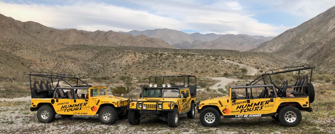 Daily Joshua Tree National Park tours on Hummers