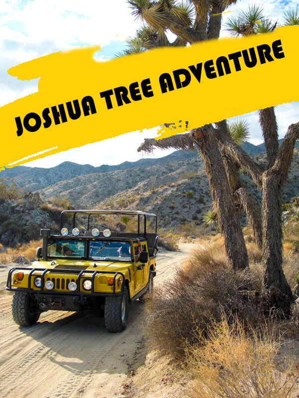 Save $30 pp when you book a Joshua Tree National Park tour online.