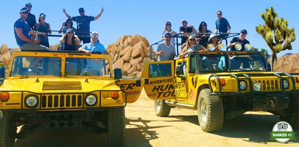 Group Tours to Joshua-Tree-National-Park