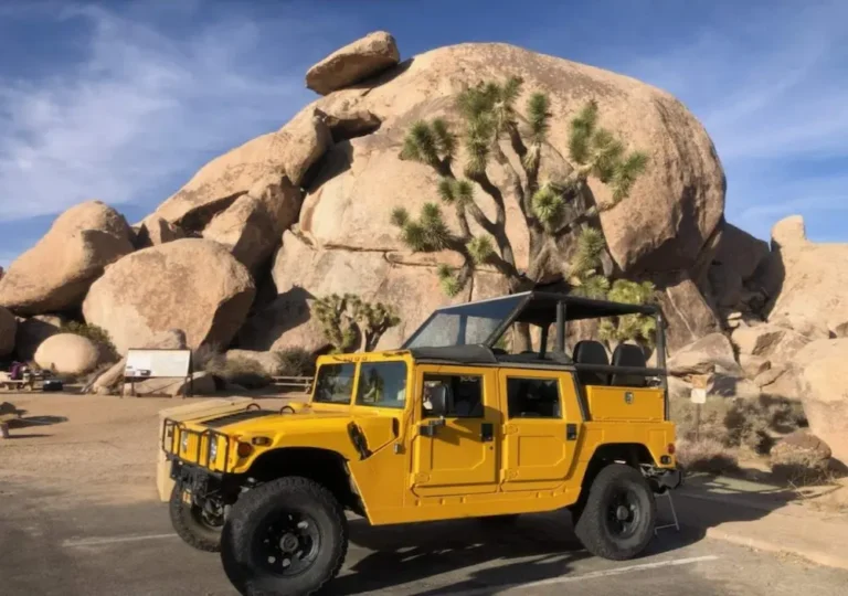 Open-Air Hummer in Joshua Tree National Park.